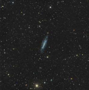 NGC 4236 Spiral Galaxy
