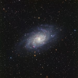 Read more about the article The Triangulum Galaxy