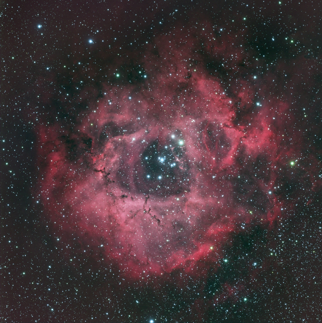 You are currently viewing The Rosette Nebula