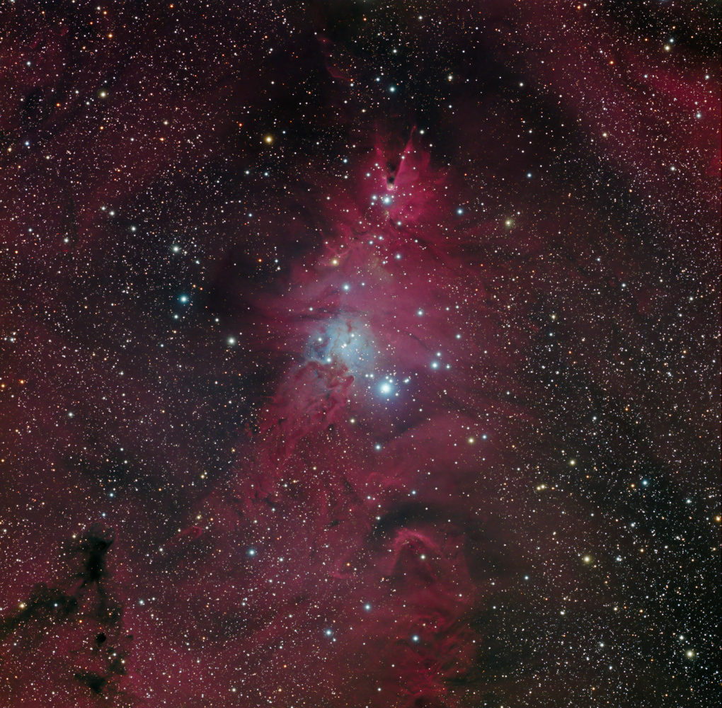 The Cone Nebula