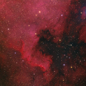 Read more about the article North America Nebula